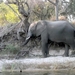 10 Victoria falls Zimbabwe (69)