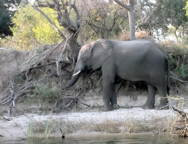 10 Victoria falls Zimbabwe (69)