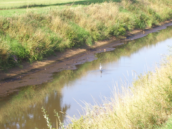 Wandeling naar Mechelen - 6 augustus 2015