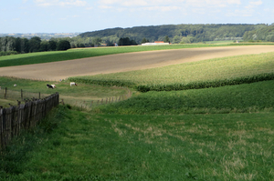 Heuvellandschap