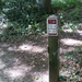 Knooppunt midden in bos