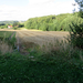 Zelfde pad