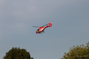 IMG_6877