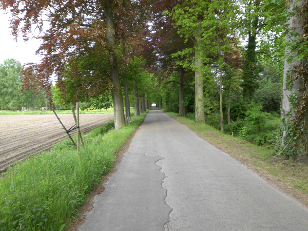 Dagfietstocht naar Olen - 30 juli 2015