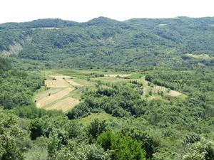 DSC01458