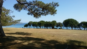 20150702_094143