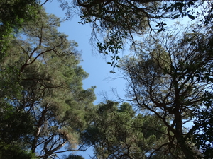 DSC01560