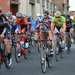 Natourcriterium-Roeselare-28-7-2015