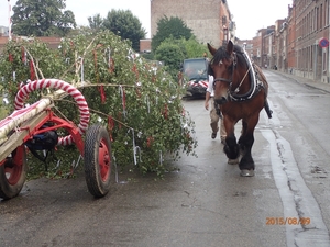 Meyboom Leuven 2015 015