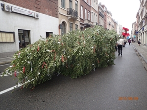 Meyboom Leuven 2015 033