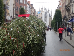 Meyboom Leuven 2015 039