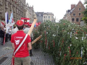 Meyboom Leuven 2015 056