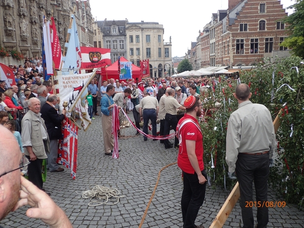 Meyboom Leuven 2015 057