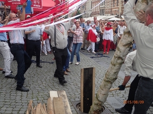 Meyboom Leuven 2015 062