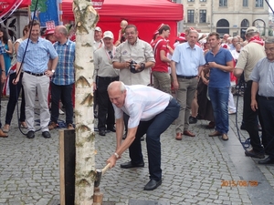 Meyboom Leuven 2015 071