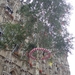 Meyboom Leuven 2015 073