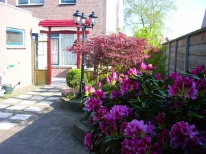 tuin  2005