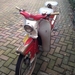 avaros super 8