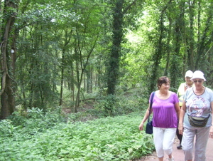 Wandeling langs Elzestraat - 20 augustus 2015