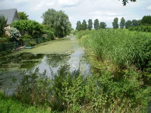 doorkijk vanaf Sluisweg naar Maasdijk