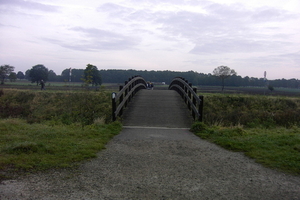 Berlaar 19 October 2008 003