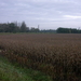Berlaar 19 October 2008 008