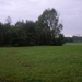 Berlaar 19 October 2008 011