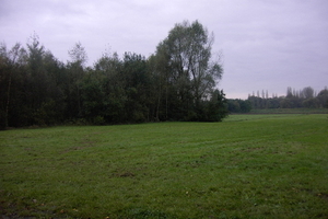 Berlaar 19 October 2008 011