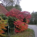 Berlaar 19 October 2008 029