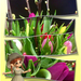 Sien 1.2 project 2
