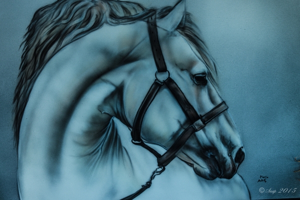 Rockabilly Day 2015-7984