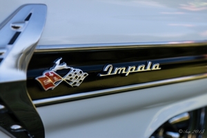 Rockabilly Day 2015-8047