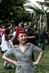 Rockabilly Day 2015-8518