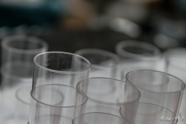 Rockabilly Day 2015-8561