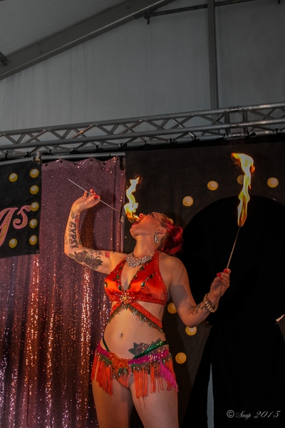 Rockabilly Day 2015-8699