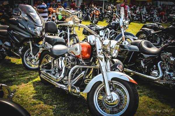 Rockabilly Day 2015 dag 2-9018