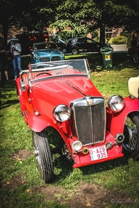 Rockabilly Day 2015 dag 2-9038
