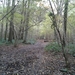 20131120_121534 (1)