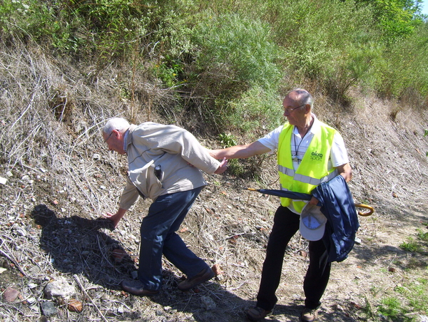 Paraplukeswandeling in de zon - 24 augustus 2015