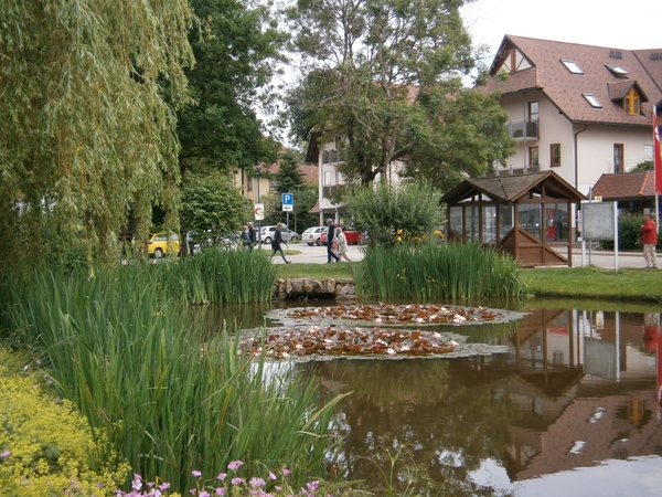 ZWARTE WOUD DEEL3 029