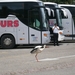 ZWARTE WOUD DEEL3 081