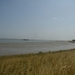 2015-07-03 KKT fietsen Zeeuws Vlaanderen_0002