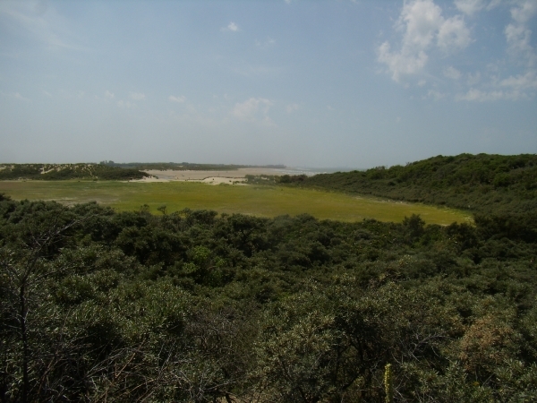 2015-07-03 KKT fietsen Zeeuws Vlaanderen_0011