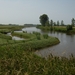 2015-07-03 KKT fietsen Zeeuws Vlaanderen_0021
