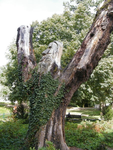 verborgen hoekjes leuven