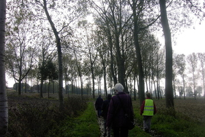 Berlaar 19 October 2008 053