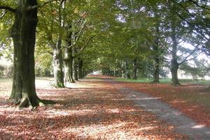 Berlaar 19 October 2008 057