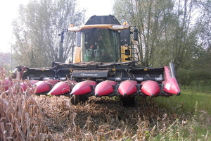 Berlaar 19 October 2008 061