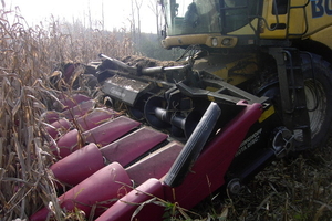 Berlaar 19 October 2008 062