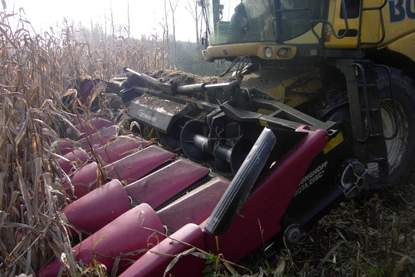 Berlaar 19 October 2008 062